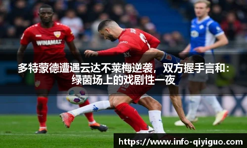 多特蒙德遭遇云达不莱梅逆袭,双方握手言和:绿茵场上的戏剧性一夜