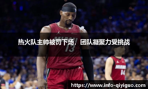 热火队主帅被罚下场,团队凝聚力受挑战